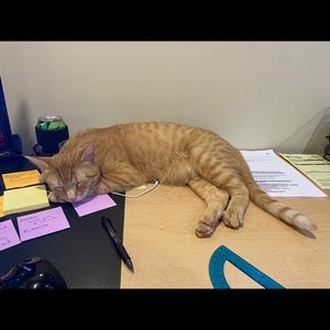 Meet your Posher, Georgia